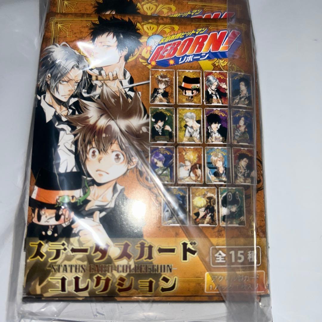 家庭教師ヒットマンREBORN!　ステータスカードコレクション　30個